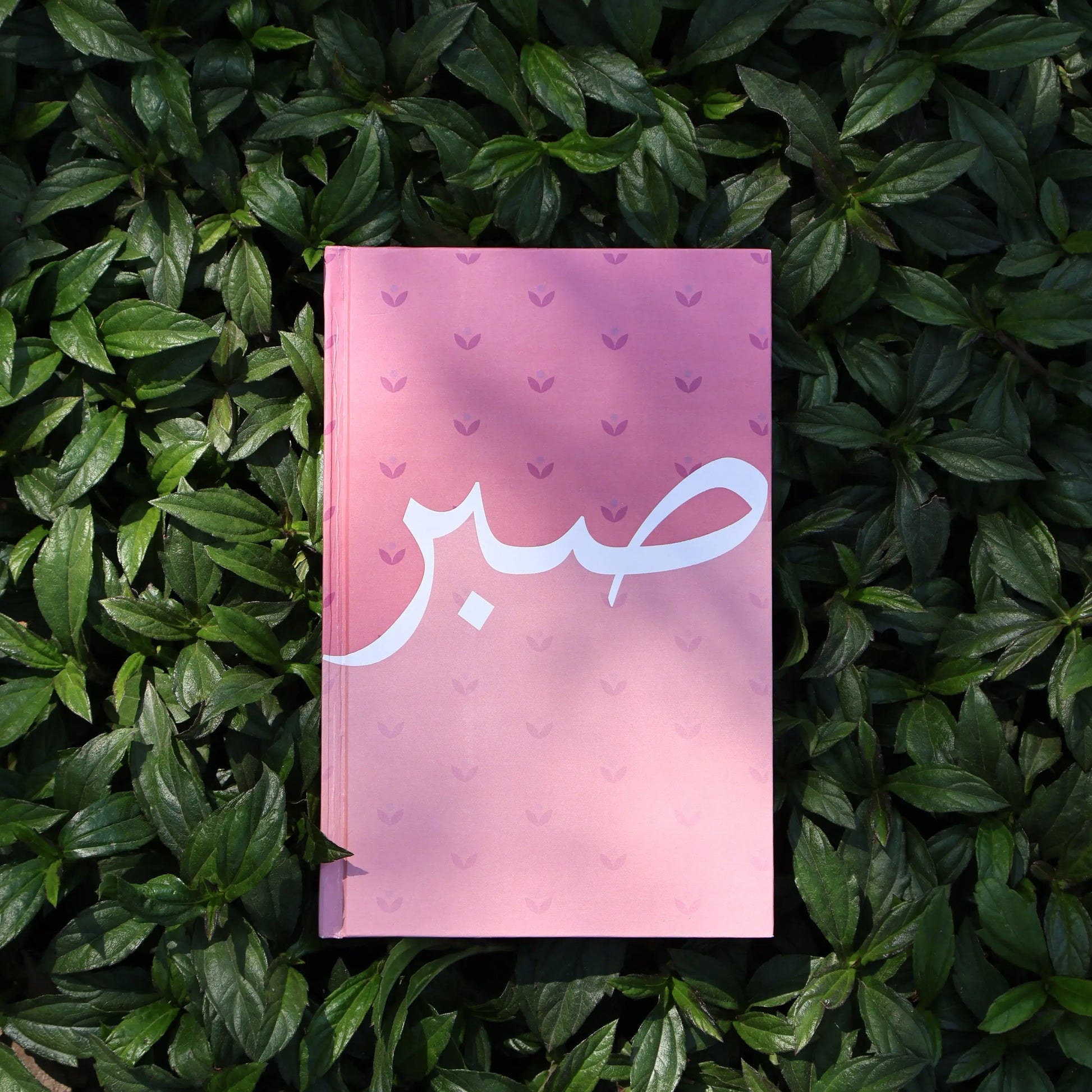 SABR Journal The Antique Treasure (tatjournals)