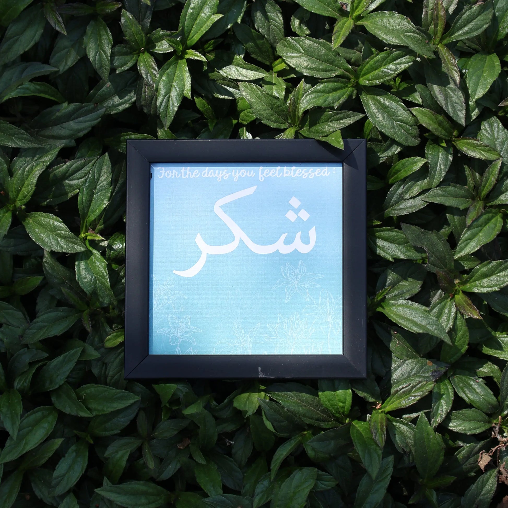 Shukr – 5x5" Urdu-Inspired Wall Frame The Antique Treasure (tatjournals)