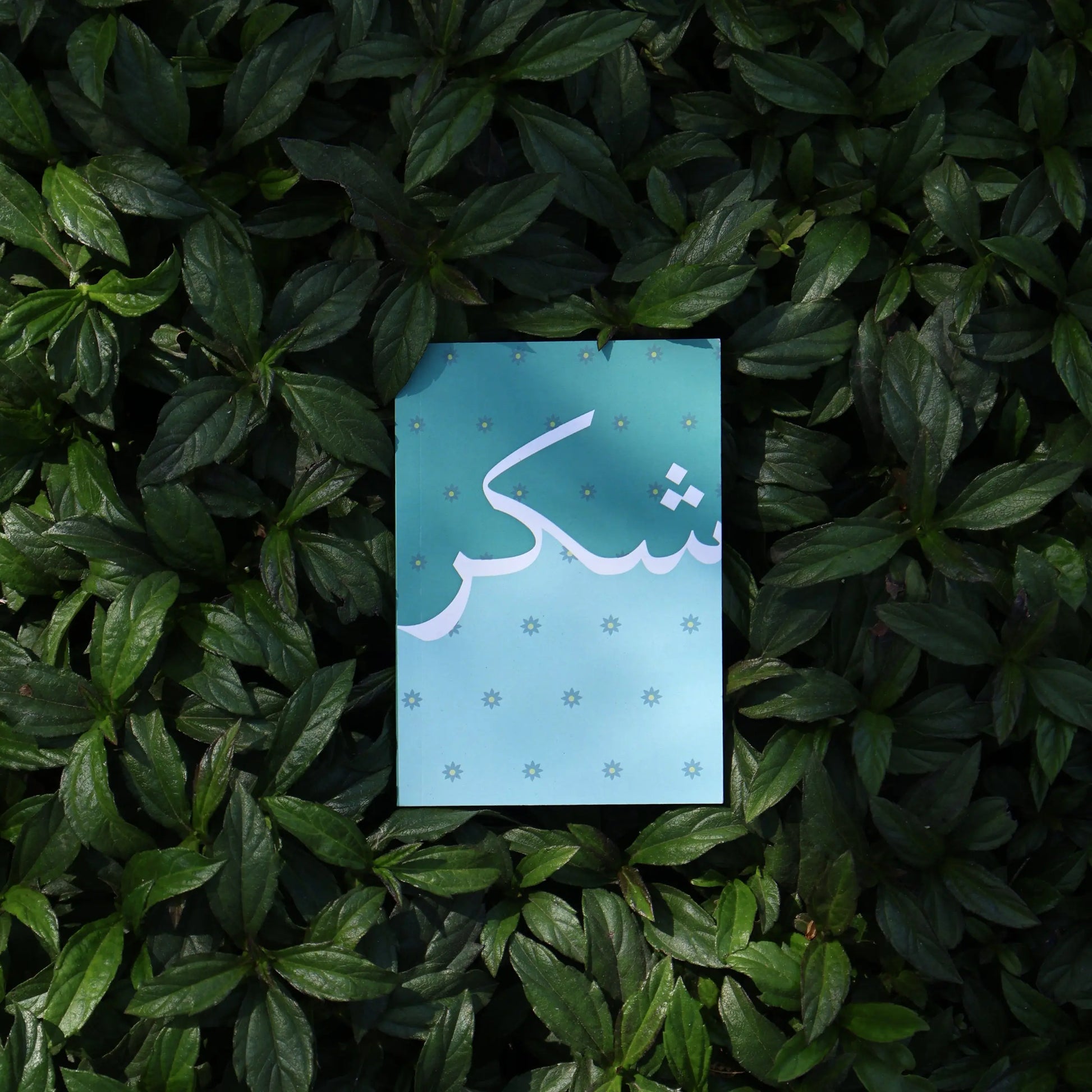 SHUKR (Mini Journal) The Antique Treasure (tatjournals)