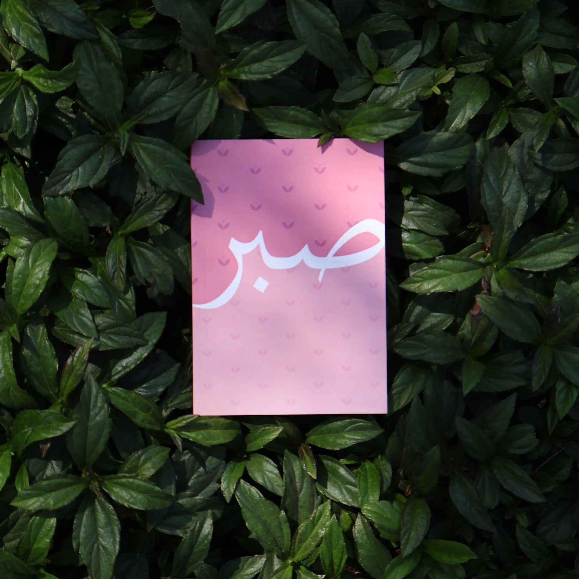 SABR (Mini Journal) The Antique Treasure (tatjournals)