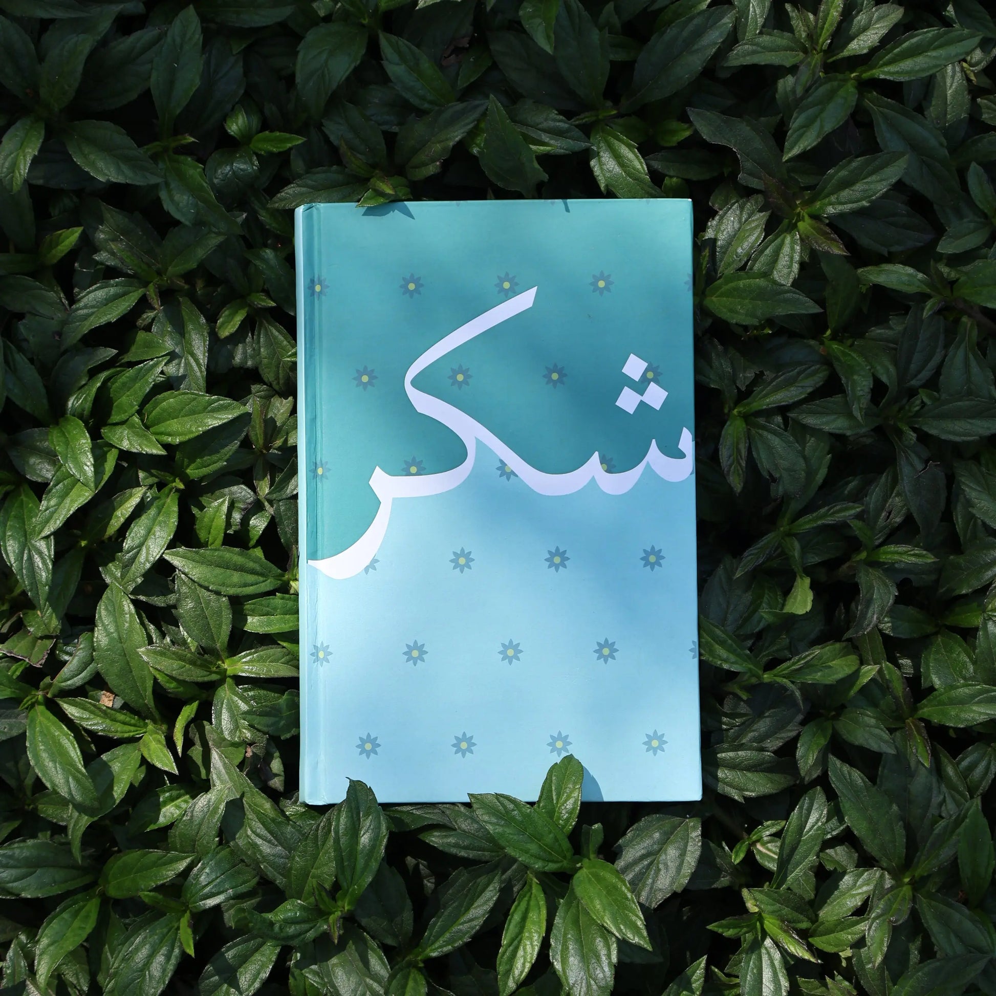 SHUKR Journal The Antique Treasure (tatjournals)