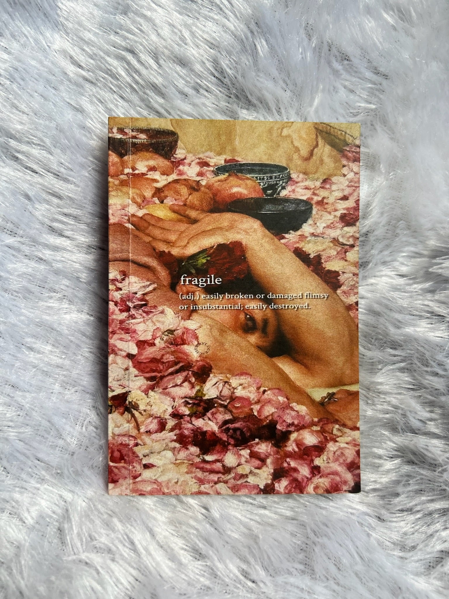 Fragile (Mini Journal) The Antique Treasure (tatjournals)